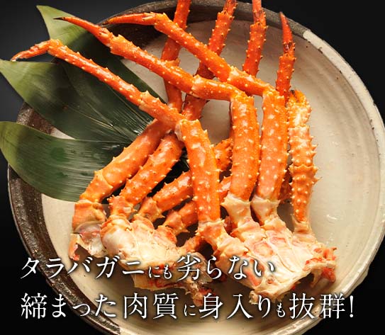 タラバガニにも劣らない締まった肉質に身入りも抜群！