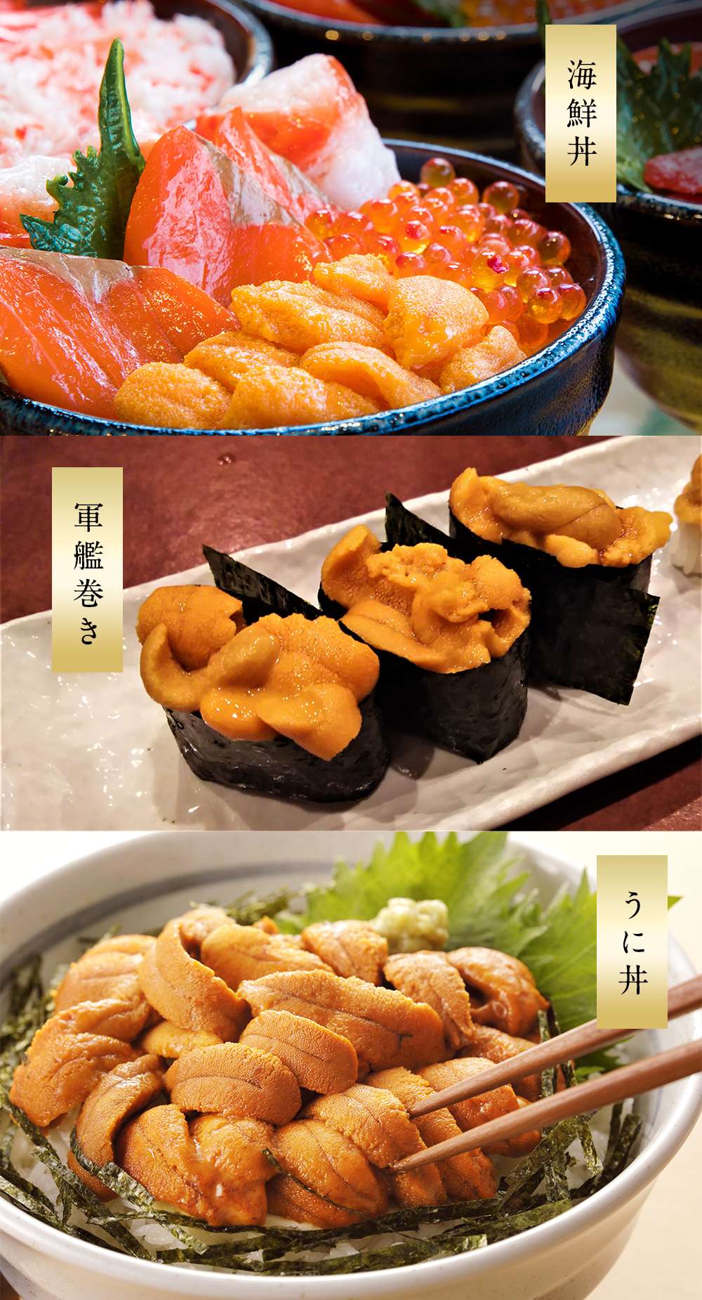 最も共有された ウニ 塩漬け 賞味期限 1149 ウニ 塩漬け 賞味期限 Tranlorowalljp