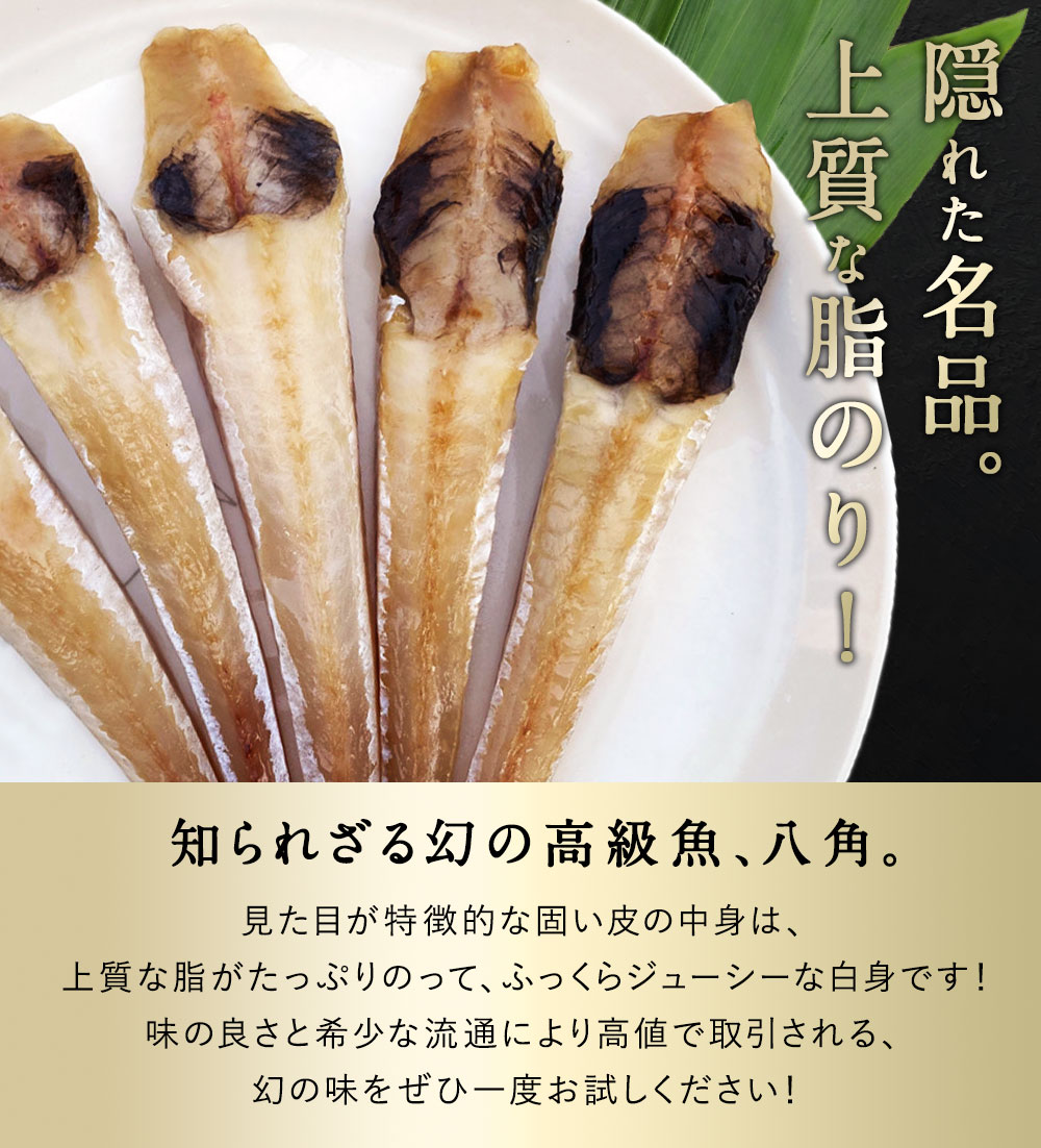 八角 知床 羅臼産 八角一夜干し 5本入り ハッカク はっかく 北の町から 北海道知床 羅臼発 漁師直送便