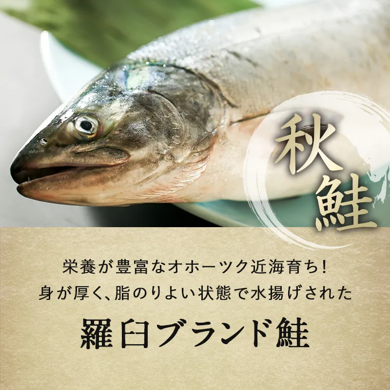 3個まとめ買いで送料無料4,980円/ 北海道 知床・羅臼産 鮭親子 3個まとめ買いで送料無料4,980円/ 北海道 知床・羅臼産 鮭親子