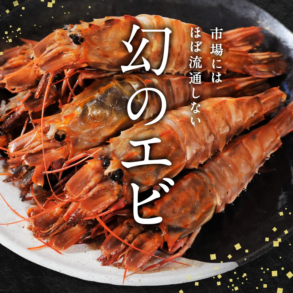 ※海を愛する男　バラフエダイの剥製 かっこいい魚には毒がある ☠️ イケメンの魚を釣りました🫣 小さいの