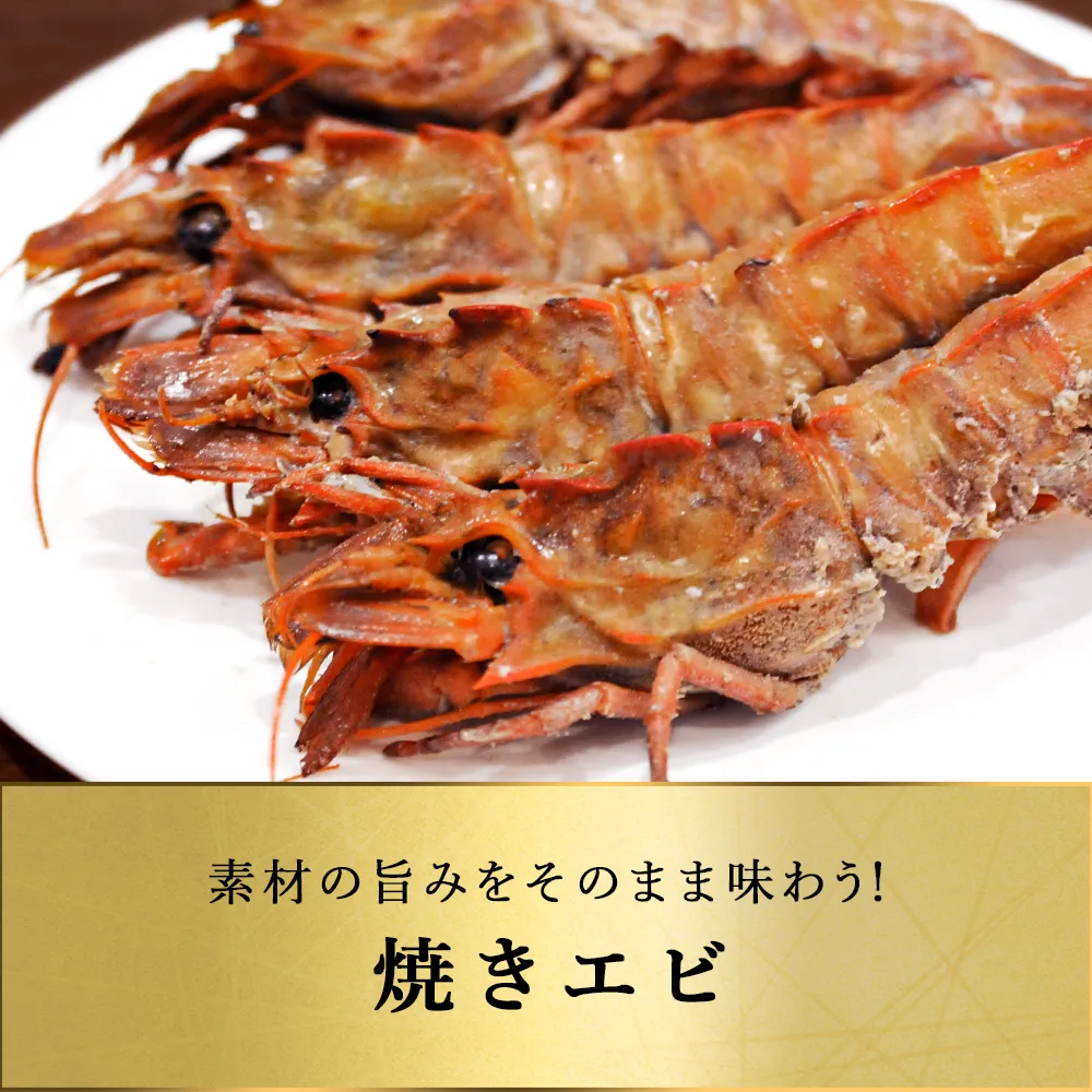 北海道 知床・羅臼産 ガサエビ 500g 栄養豊富な海で育ったエビは