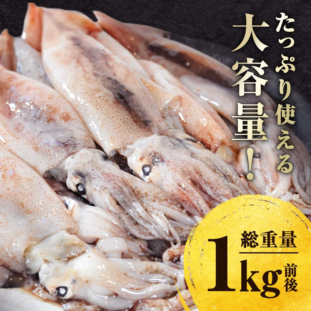 スルメ・イカ様 スルメイカ 1kg(10杯前後) 北海道 知床・羅臼産 するめいか まめいか