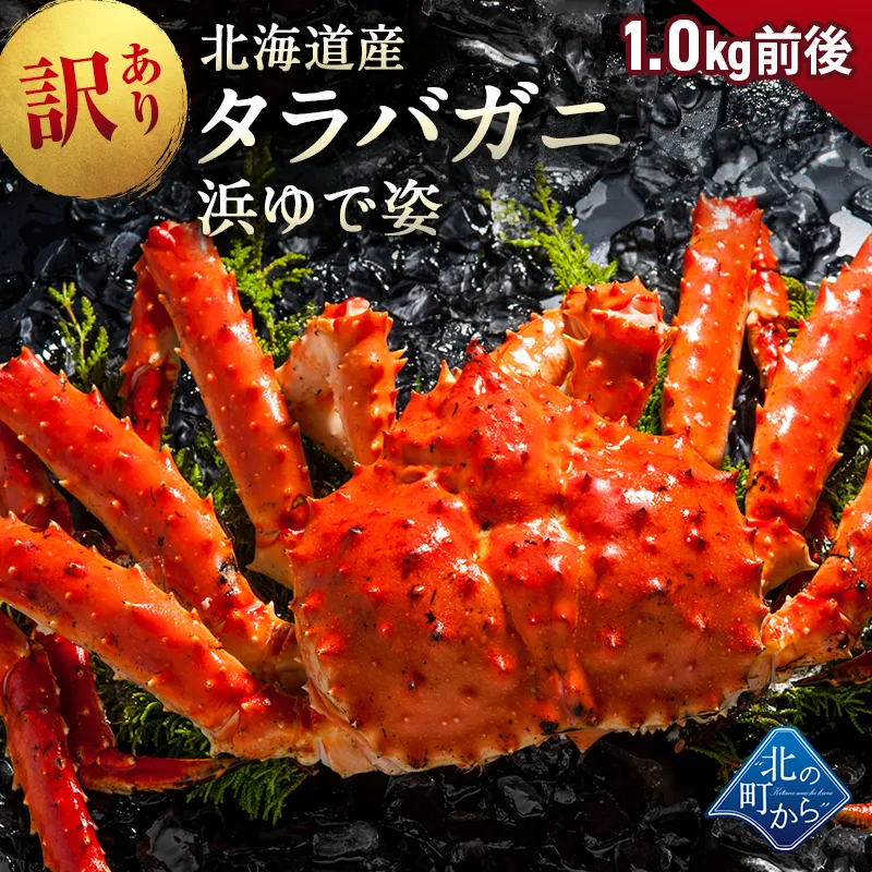 新鮮 タラバガニ King Red Crab Legs Niseko – Ezo Seafoods Fresh