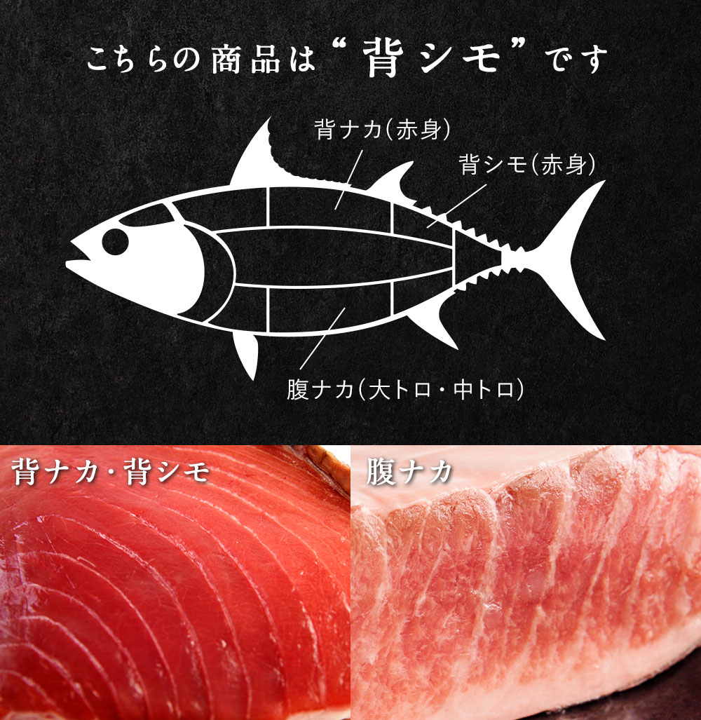 本マグロ 赤身 ブロック 1kg前後 北海道 知床・羅臼産 流通僅かなレア商品！あっさりした旨みの赤身がたっぷり楽しめる背シモ！ クロマグロ ...