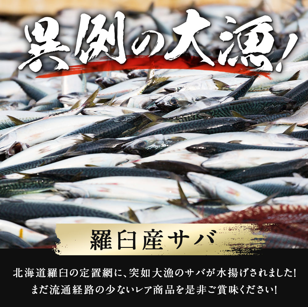 市場＆漁港から直送！新鮮な魚介 鮮魚 水産品