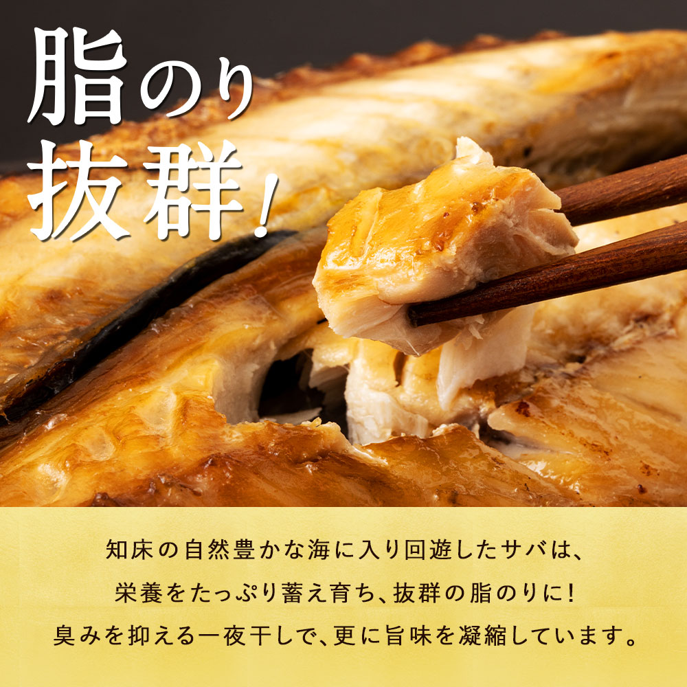 魚介類・海産物の人気ランキング - マイナビふるさと納税