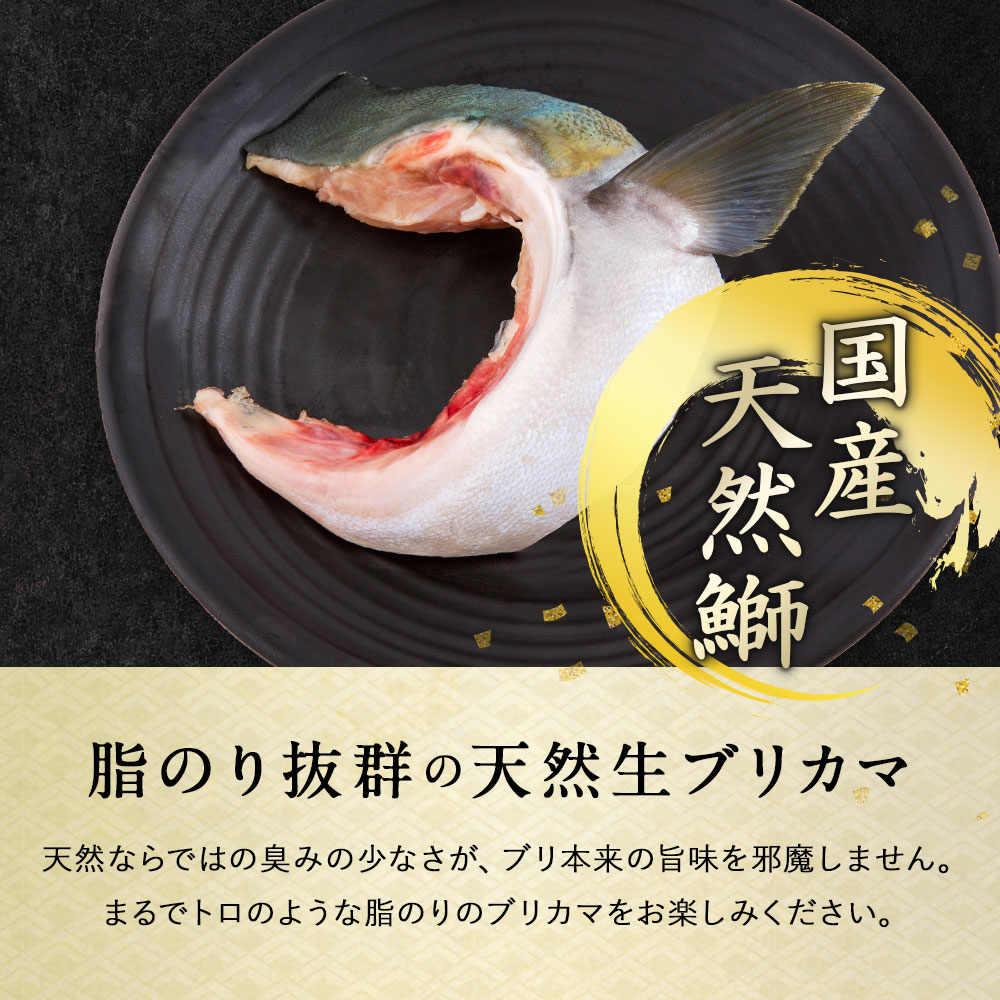 北海道 知床・羅臼産 ブリカマ 10枚 【ぶりかま ブリ 鰤】 “北の町から” 北海道知床・羅臼発！漁師直送便