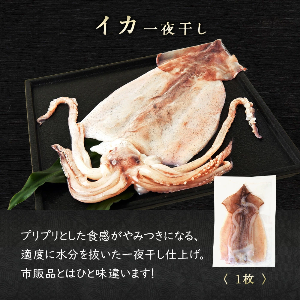期間限定50％OFF！9,960円⇒4,980円】北海道産 干物・西京漬